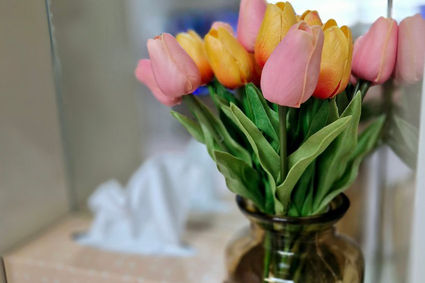 마곡나루역 ♥️깔끔하우스