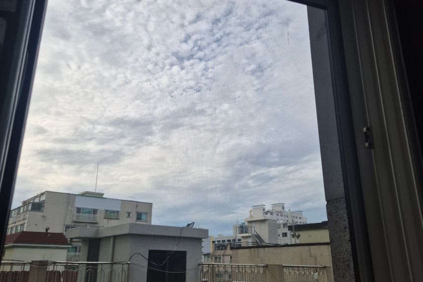 홍대 접근 용이 신축