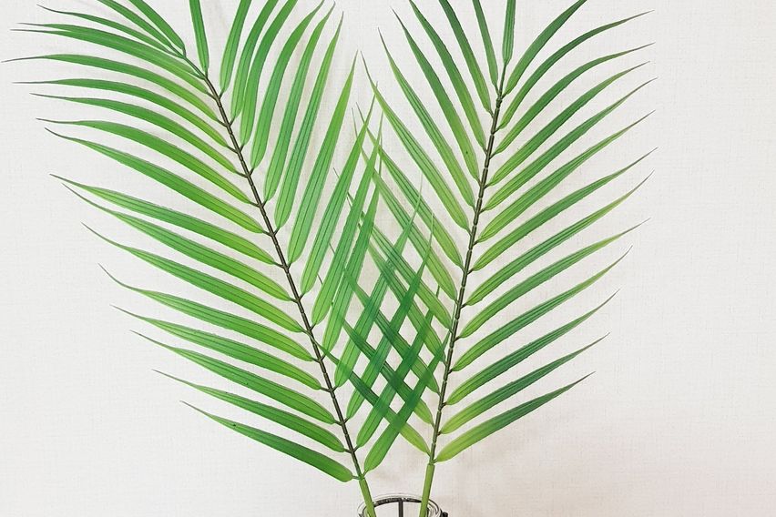 연수역 오피3R 3번째 이미지