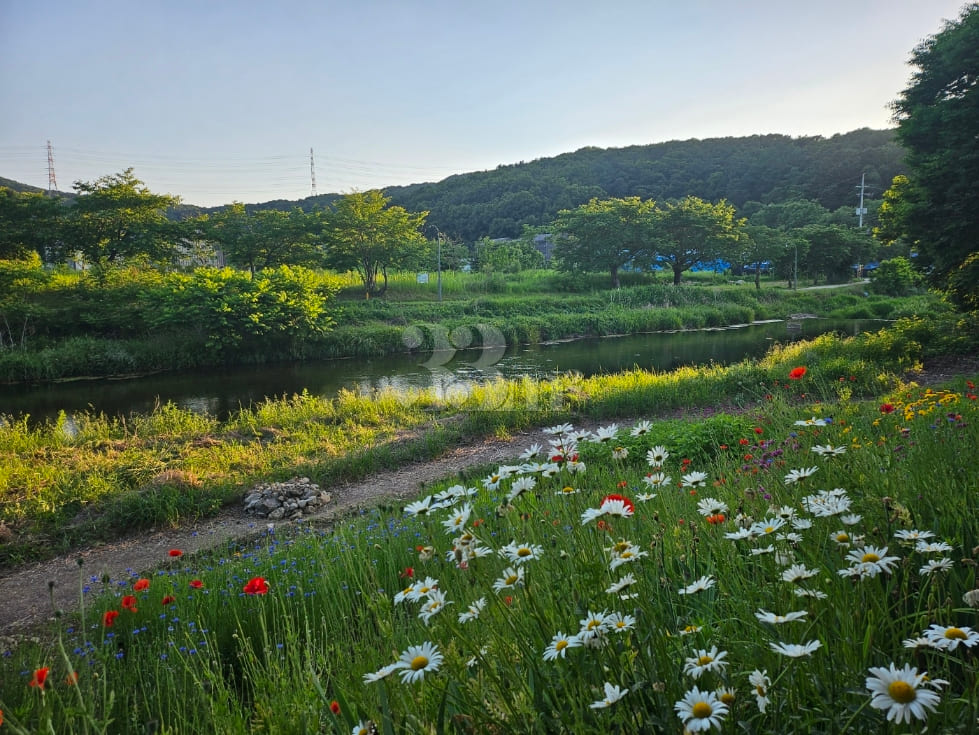 Yongin House 5th image