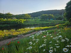 용인집 5번째 이미지