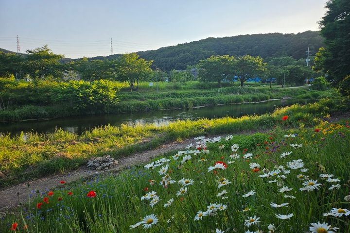 용인집 5번째 이미지