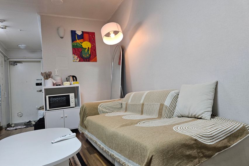 일산주엽역도보3분풀옵션