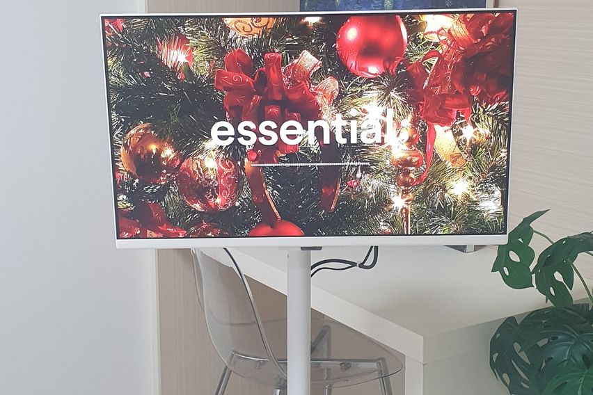 오픈🧡상무망고STAY2 15번째 이미지