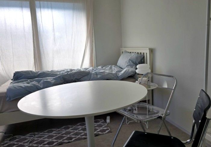 롯백성심당오픈특가🌿