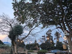 성산 수산뜰 애견가능 4번째 이미지