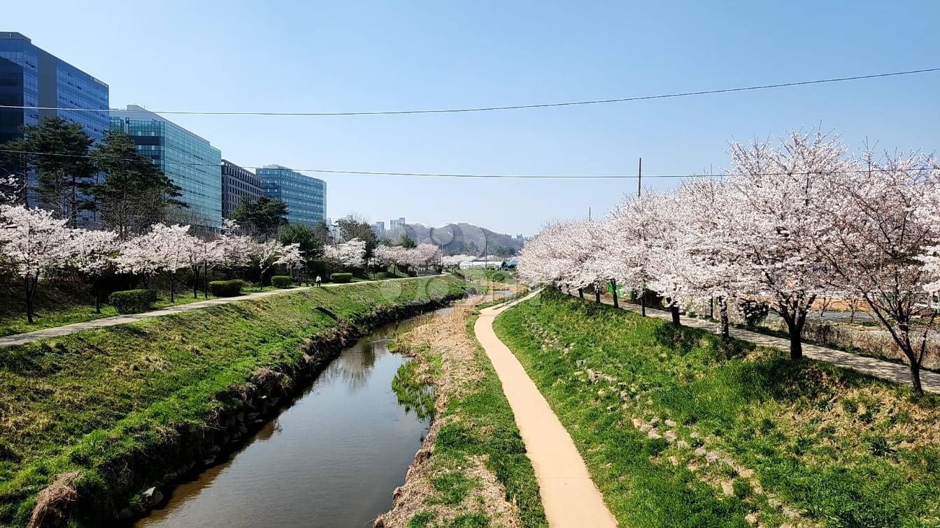 Short-term rental space in Bucheon Okgil 18th image