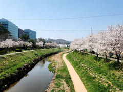 Short-term rental space in Bucheon Okgil 18th image