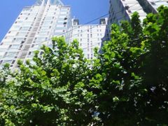 Mixed-use complex in downtown Busan 1th image