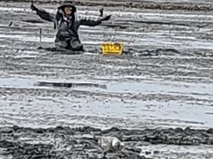 서해랑길 앞 한적한 집 17번째 이미지