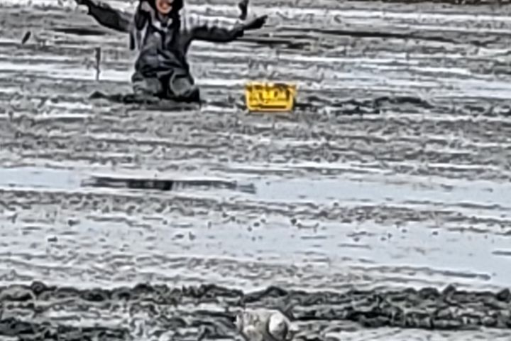 서해랑길 앞 한적한 집 17번째 이미지