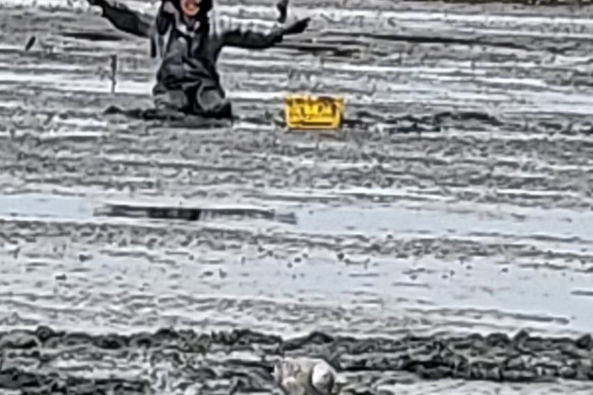 서해랑길 앞 한적한 집 17번째 이미지