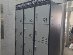 🎯성수서울숲뚝섬반려견 17번째 이미지