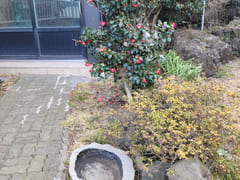203 Hyeopjae-dong, Jeju 13th image