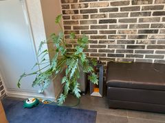 Fully furnished, Line 4, Bandi Books 3th image