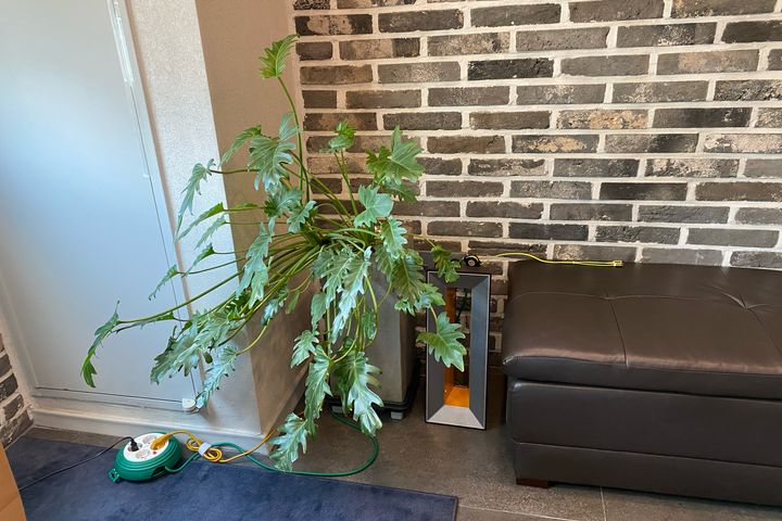 Fully furnished, Line 4, Bandi Books 3th image