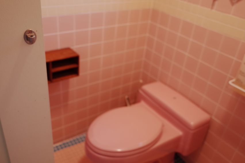 귀여운 투룸🫧반려동물 18번째 이미지