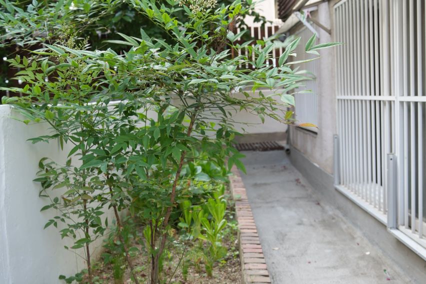 일원본동 삼성병원 A 16번째 이미지