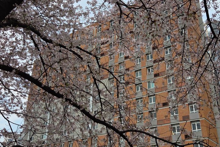 2 minutes from Yangpyeong Station 🩵 New spec 17th image