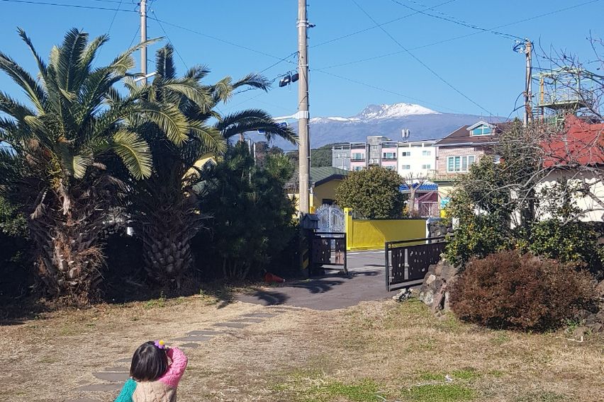 🍊귤밭독채 가족여행6인 0번째 이미지