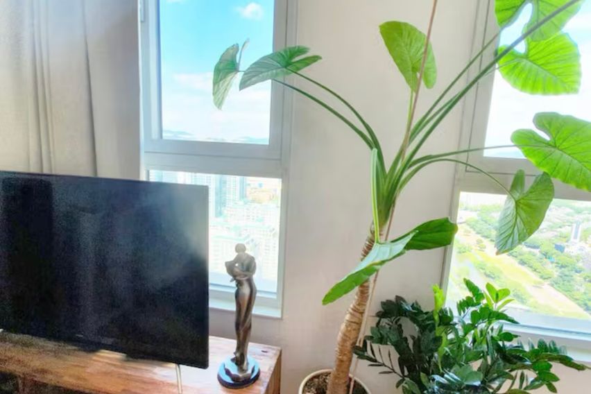 전망좋은/정자역1분