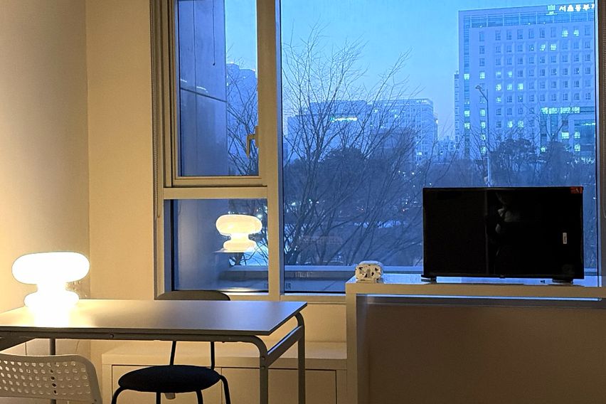 주차풀옵션 초록뷰🫛