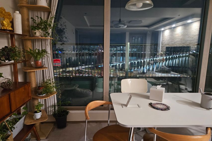 한강뷰 with 고양이