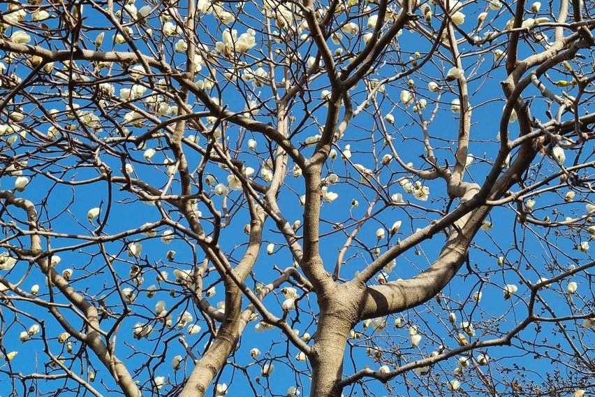 통영진우원룸 A호