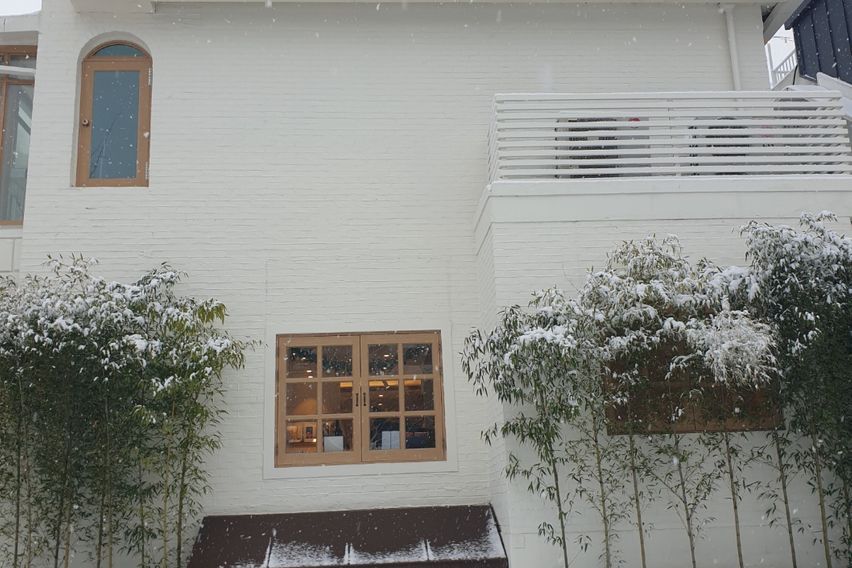 홍대연남동풀옵션 C