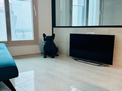 광안리 오션뷰 오피스텔 1번째 이미지
