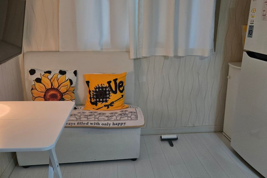 😽킴바 화정역3분 