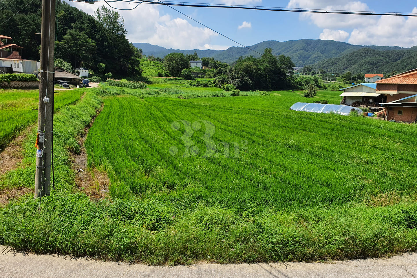 Wonju Brick & Green 302 0th image