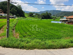 Wonju Brick & Green 302 0th image