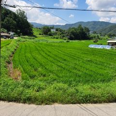 Wonju Brick & Green 302 Unit Image