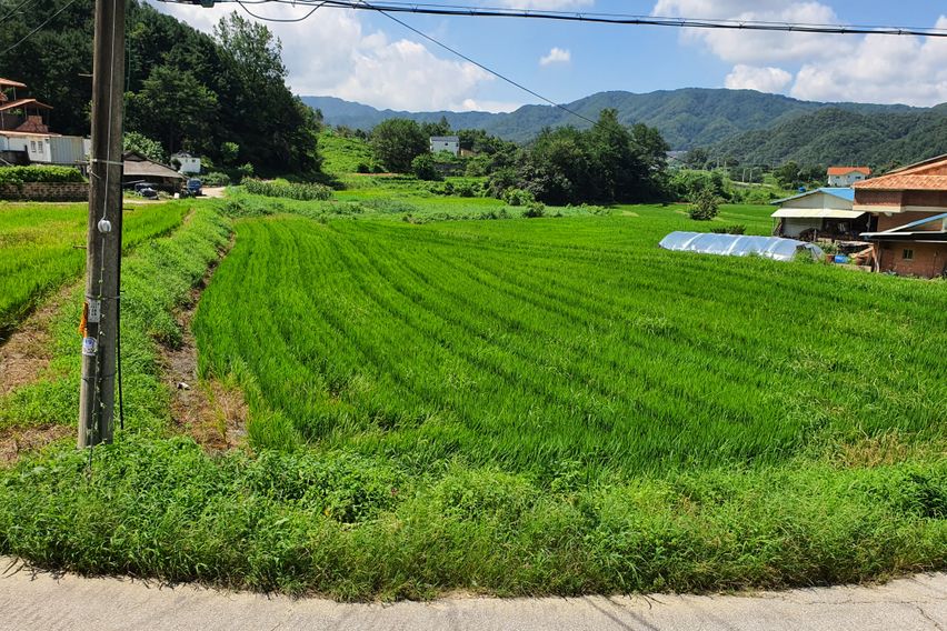 원주 브릭앤그린 302 0번째 이미지