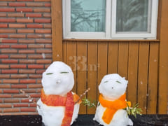 Yangpyeong Sunny's House Camping Vibe 2th image
