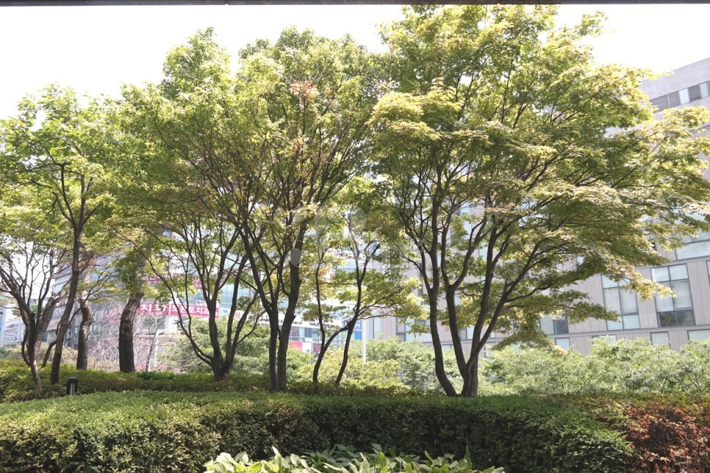 ๐ Bundang/Jeongja/Pangyo - 4 people 17th image