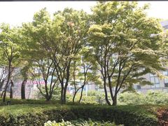 🍃분당/정자/판교-4인 17번째 이미지
