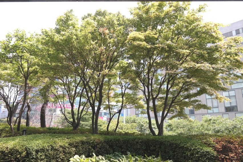 🍃분당/정자/판교-4인