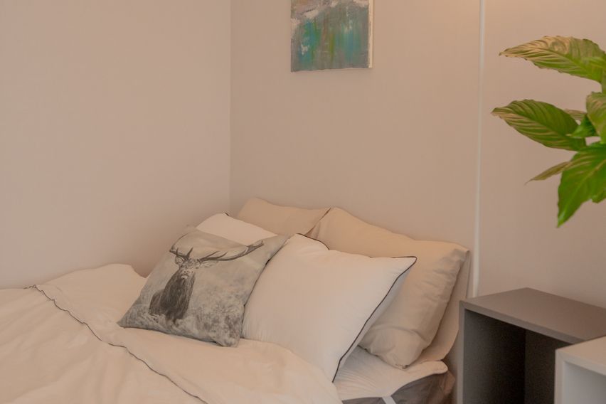 🌿판교정자역1분초록뷰