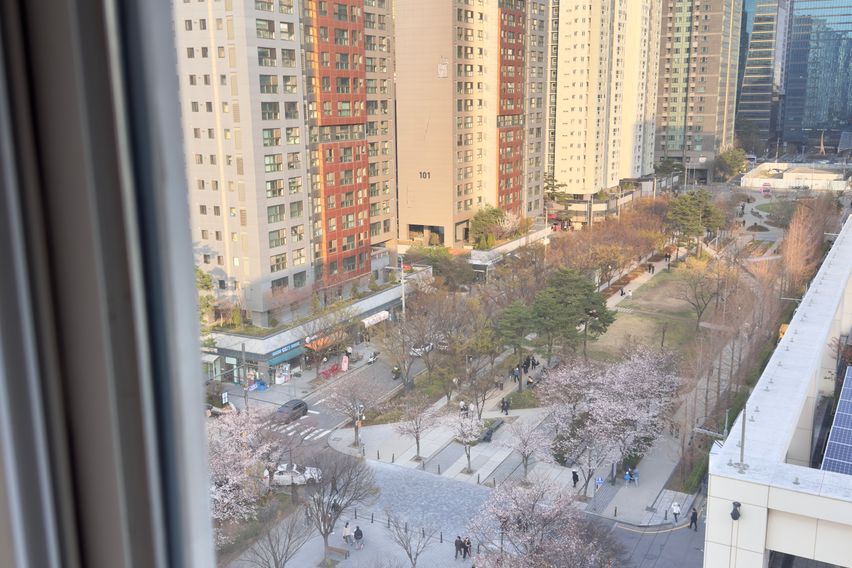 ★새해특가(TV,건조기