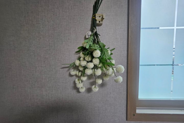 명품 포항 죽파인근 0번째 이미지