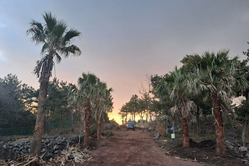 위미리 독채투룸 마당집