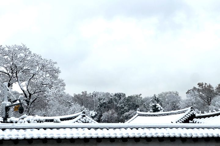 작은 아씨집 6번째 이미지