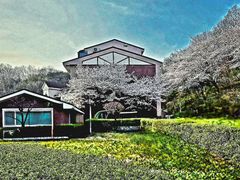 산속 자연과 새소리안전 3번째 이미지