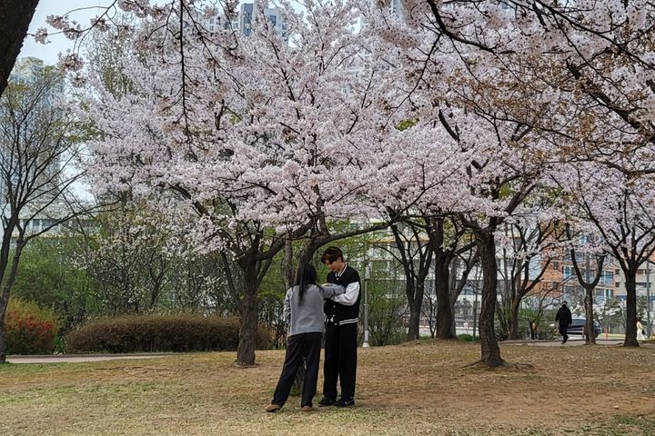 오이도 빨강등대/방2 17번째 이미지