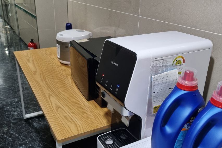 고고스테이 C타입