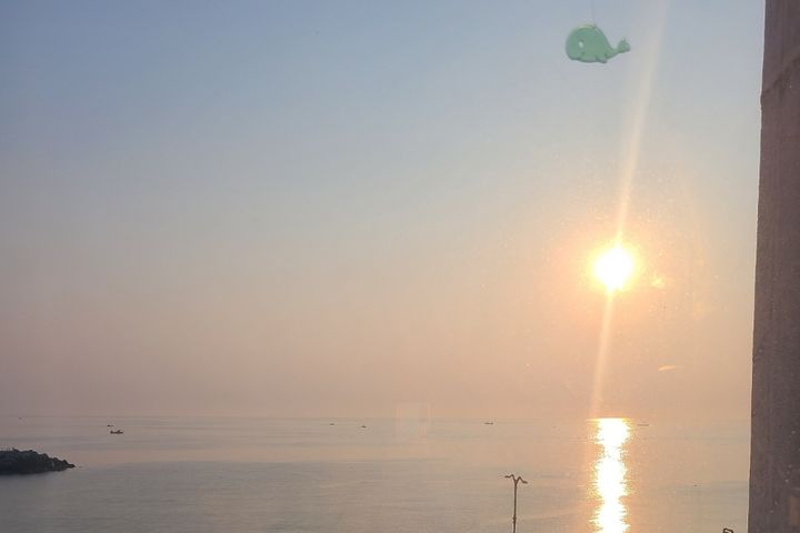 속초 바다양 14번째 이미지