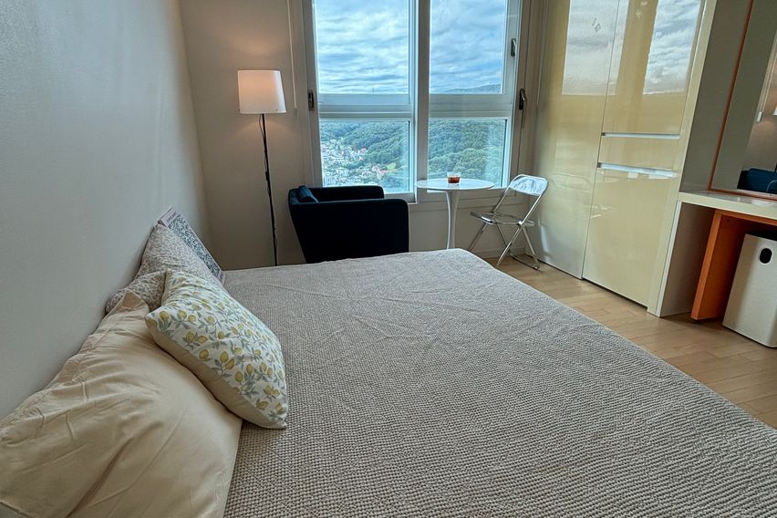 ❤️NEW💜SKY💚정자