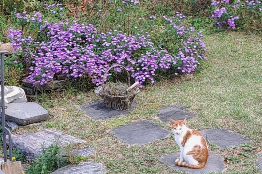 🌿용인 광교산 자연주택 16번째 이미지